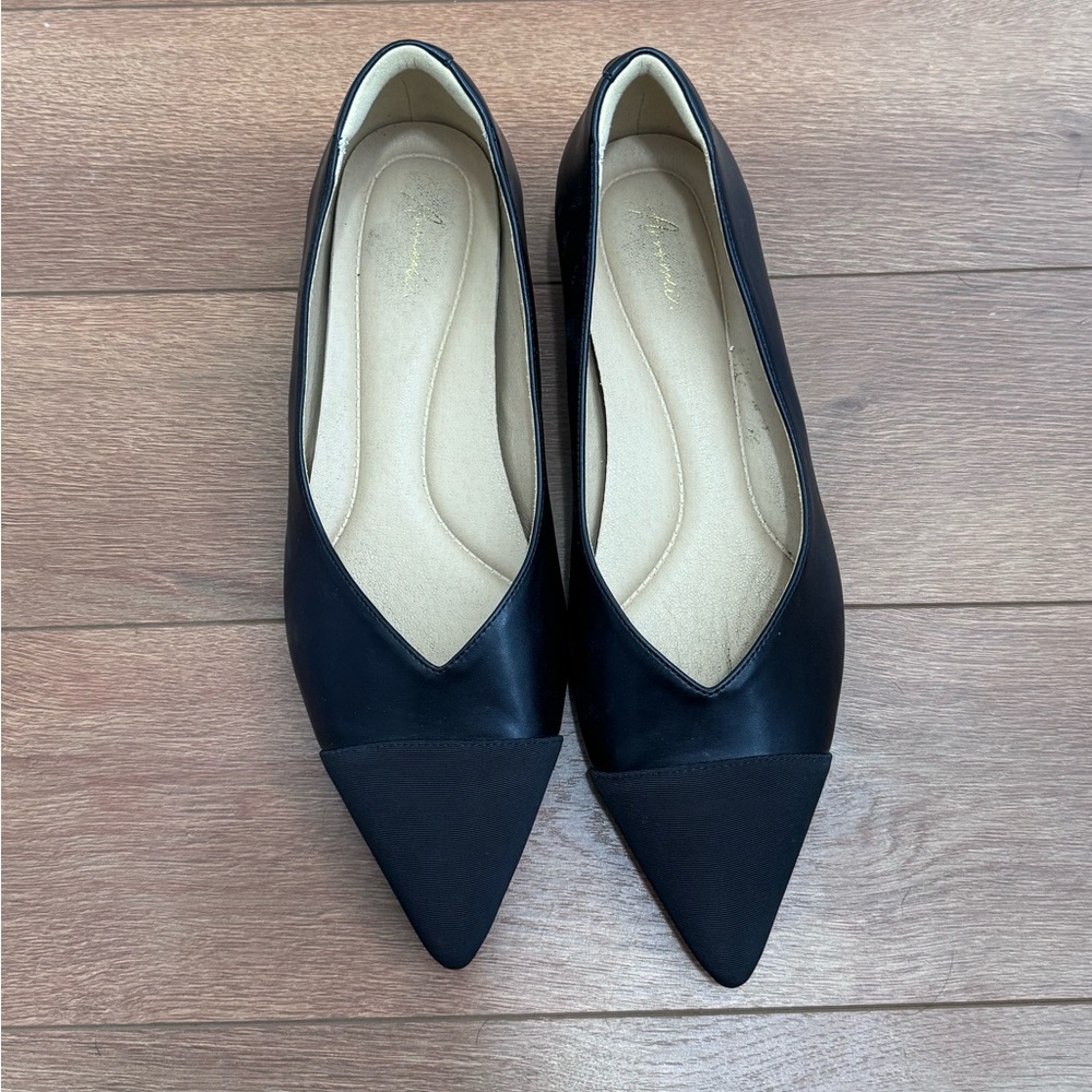 Elegant Black Pointed Flats